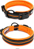 Truelove Dog Collar, Reflective Premium Duraflex Buckle, High Grade Nylon Webbing, No Choke, Orange, XS