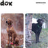 DDOXX Dog Collar Air Mesh, Adjustable & Padded for Small, Medium & Large Dogs, Yellow, XS