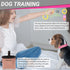26 FLYSTAR Puppy Starter Kit for Small Dogs, pcs Dog Supplies, Dog Toys, Collar & Leash, Training Clicker, Treat Bag