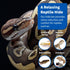 Pangea Reptile Hide Box (C- Medium) in Black