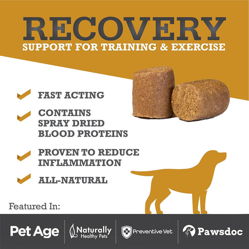 WINPRO Recovery Chews for Dogs | Plasma-Powered for Active Dogs | Immune System Support | 60 Count, Made in USA