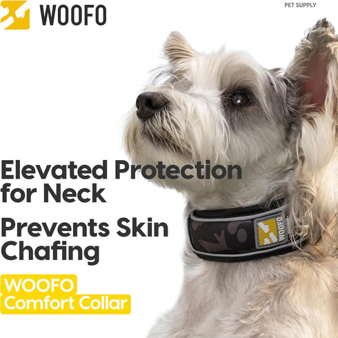 Premium Dog Collar, Super Adjustable for All Breeds, Quick Release Buckle, Extra Soft Padding & Reflective Trim