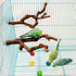 2 Packs Parrot Bird Perches - Natural Wild Grape Stick Grinding Paw Climbing Cage Accessories Toy for 3-4 Parakeets