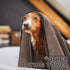 Chumia 4 Pack Dog Towels for Drying Dog Large Microfiber Dog Towels Grooming Towels Absorbent Soft Pet Bath Towels with Embroidered Paw for Small Medium Large Dogs Cats Bathing(Brown,16 x 32 Inch)