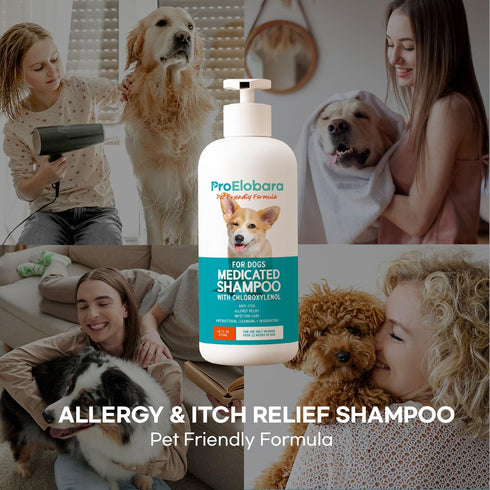 16 OZ Medicated Dog Shampoo for Allergies and Itching: Antifungal Dog Shampoo, Yeast Infection and Bacterial Treatment