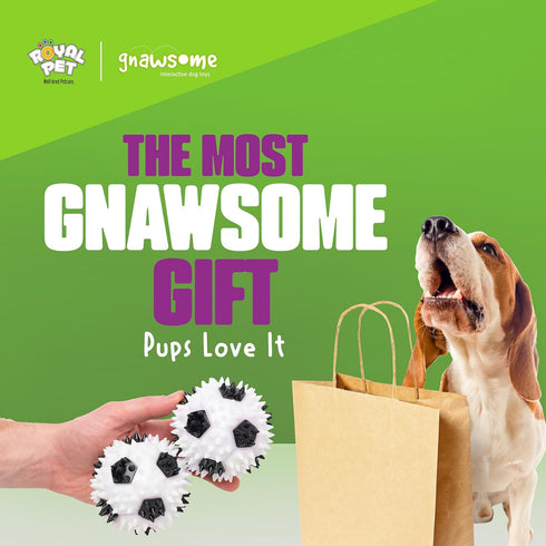 3.5 Gnawsome Squeaker Soccer Ball Dog Toy - Medium, Promotes Dental and Gum Health for Your Pet, Colors Will Vary, All