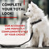 Rolled Leather Dog Leash - 4Ft * 0.5 in for Small Medium Large Dogs, Heavy Duty for Outdoor Walking, Running, Training