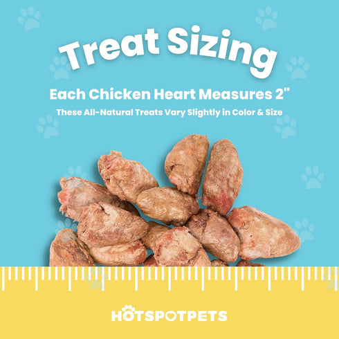 1LB hotspot pets Freeze Dried Chicken Hearts for Cats & Dogs - BIG BAG- Made in USA -Single Ingredient All Natural