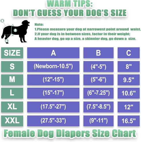 wegreeco Luxury Washable Reusable Dog Diapers (Stylish Pattern) - Female Dog Diapers, 3 Pack (Lace, Medium)