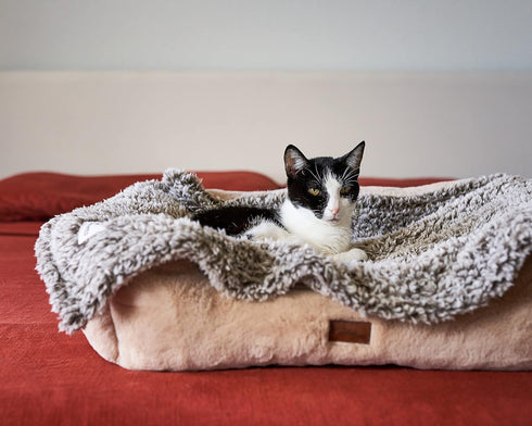 Pet Parents Pet Blanket | Water Resistant Dog Blanket for Small Medium Large Dogs, 24"x32"