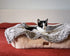 Pet Parents Pet Blanket | Water Resistant Dog Blanket for Small Medium Large Dogs, 24"x32"