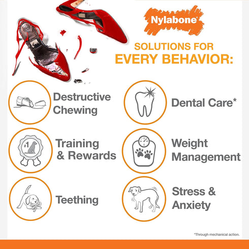 Nylabone Lobster Dog Toy Power Chew, Cute Toys for Aggressive Chewers with a Funny Twist! Filet Mignon Flavor,
