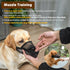 Crazy Felix Nylon Dog Muzzle, Breathable and Drinkable Pet Muzzle for Small Medium Large Dogs, Black, XL