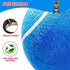 EXPAWLORER Dog Toy Ball (9.5’’ Giant Tennis Balls) for Dogs, Interactive Large Floating Toy