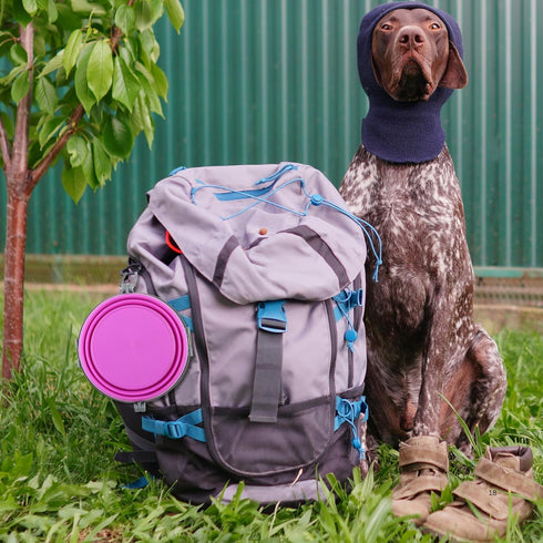 Loving Pets Bella Roma Collapsible Dog Bowls, Silicone, Foldable Bowl, Puppy Essentials, Hiking Supplies, Pink, Small