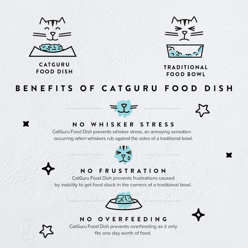 CatGuru Cat Bowls - Whisker Friendly Cat Food Bowl Set of 2, Non Slip Pet Feeding Plate, Shallow Kitten Dish (Aruba)