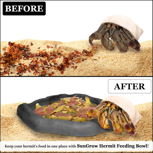 SunGrow Charcoal Color Hermit Crab Water Bowl and Bathing Pool, 5 x 5.5 Inches, 1 Pc/Pack