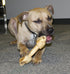 Healthy Beefhide Rawhide Dog Bones, Pack of 3 Flavored Rawhide Bones for Large Dogs Over 55 LBS