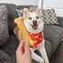 Nylabone Power Chew Classic Bone Chew Toy - Durable Peanut Butter Flavor for Large Dogs (1 Count)
