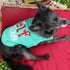 Parisian Pet Embroidered Elf Size Dog Shirt - Lightweight Cotton Christmas Outfit, Sleeveless, Machine Washable