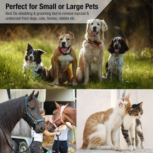 King Kanine Pet Grooming Brush - Self Cleaning Deshedding Tool for Dogs, Cats & Horses