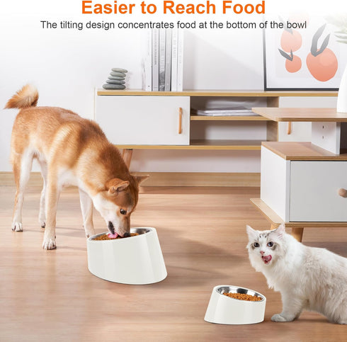 Tilted Angle Dog Bowl, 15° Slanted Stainless Steel Pet Feeder, Non-Slip & Non-Spill with Elevated Melamine Stand, White