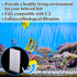 10pcs U2 Nosiny Filter Foam Pad Compatible with Fluval Underwater Sponge Replacement Aquarium Underwater Filter