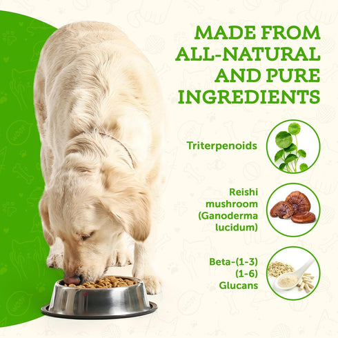 Animal Essentials Longevity Reishi Mushroom Supplement for Dogs & Cats, Antioxidant for Healthy Cardiovascular Function
