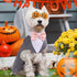 PUMYPOREITY Small Dog Tuxedo Suit Bowtie Outfit, Dog Tuxedo and Bandana Set for Chihuahua, Boston Terrier, 2