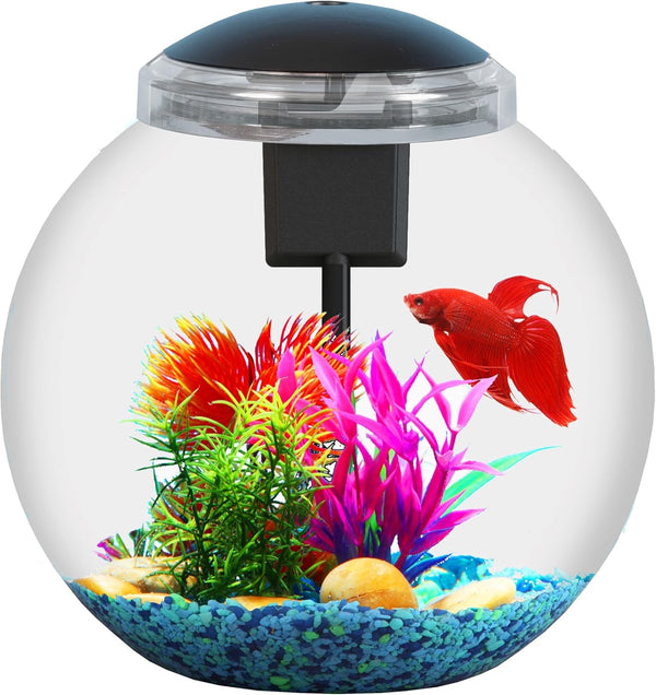 3-Gallon Aquarium Starter Kit for Betta Fish, Includes Power Filter, LED Light, Hood, and User Guide