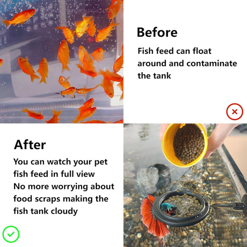 FREESEA Fish Feeding Ring for Aquarium: Round Floating Food Rings for Betta Turtle Tank