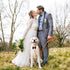 Segarty Dog Tuxedo Bow Tie Collar - Black Bowtie with Adjustable White Necktie for Medium Large Dogs, Wedding Gift