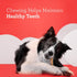 Dreambone DreamSticks Dog Chews, 10 Count (Pack of 1), Made with Real Sweet Potato
