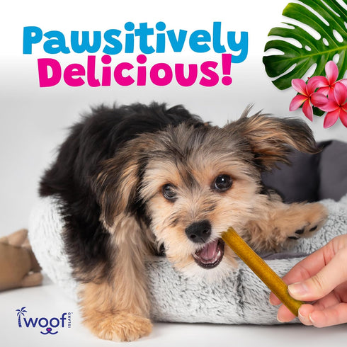 (1 Pack) Kalua Pork Rolls - Hawaiian Island Inspired Pork Pets Treats - Rawhide Free Pet Chews Long Lasting No Hide