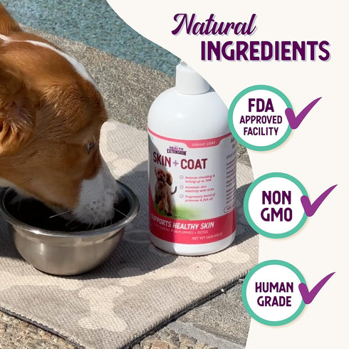Health Extension Skin & Coat for Puppies and Dogs, 16-ounces