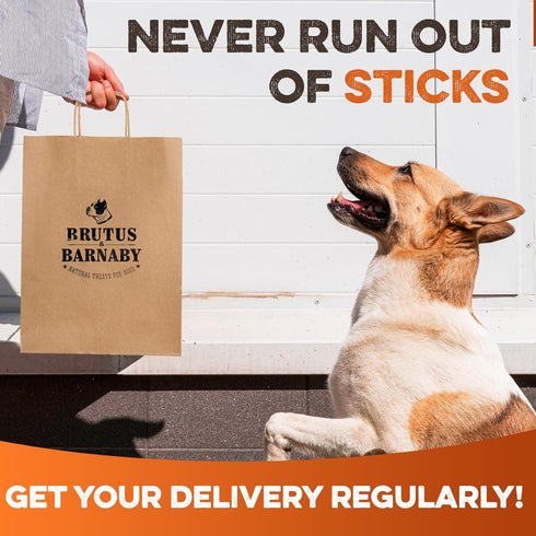 BRUTUS & BARNABY 6" Bully Sticks for Dogs, Low-to-No Odor, Grass-Fed Chews