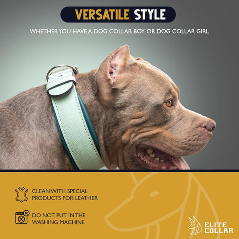 Leather Dog Collar, Large Padded Heavy Duty Collar with Dog Tag Holder, Green (Large, 2 inches wide soft padding)