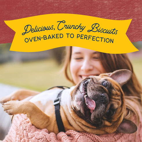Natural Balance Limited Ingredient Rewards Crunchy Biscuits – 14 Ounce – Grain-Free Dog Treats, Sweet Potato & Bison