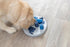 TRIXIE Dog Activity Flip Board XXL Level 2 Strategy Game, Intermediate Dog Puzzle Toy, Enrichment & Interactive Play, Dog Treat Toy
