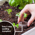 36 mm 200 Count Jiffy Peat Soil Pellets Seed Starter Plugs - for Indoor Planting, Seedlings - - Peat