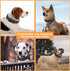 2 Pack Reflective Dog Collar, Adjustable Soft Nylon Pet Collar with Safety Locking Buckle for Small, Medium, Large