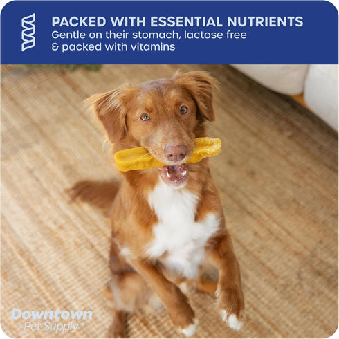 Downtown Pet Supply - Monster Yak Cheese Himalayan Dog Chews & Braided Bully Stick Treats, 2 Pack