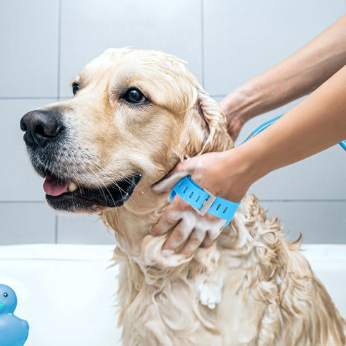 Dog Bath Hose Sprayer and Scrubber Attachment, Indoor/Outdoor Pet Bathing and Grooming, Pet Shower Brush
