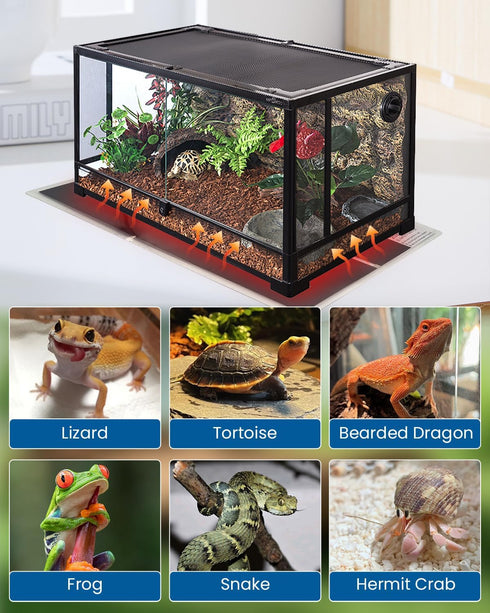 MQ Reptile Terrarium Heat Pad with LCD Digital Aquarium Thermometer, 5.5 x 6in Power Adjustment Heater Mat