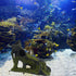 Aquarium Artificial Tree Hole Resin Ornament, Tree Stump Branch for Reptile Habitat Decoration, Fish Tank Hideaway Rock