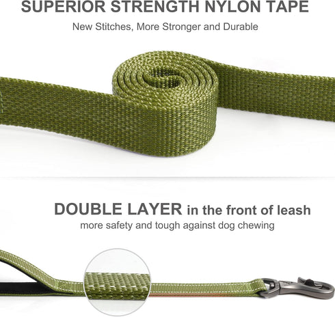 Fida 4 FT Heavy Duty Dog Leash - Green with 2 Padded Handles, Traffic Handle & Easy Snap Hook for All Breeds