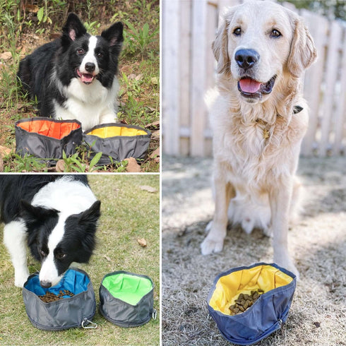 LumoLeaf Collapsible Dog Travel Bowl, 2 Packs Large 68oz/80oz, Lightweight Foldable Water and Food Bowls for Pets.