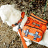 Tough Tactical Dog Collar with Handle, Military Adjustable Collar for Training (Medium, Orange)