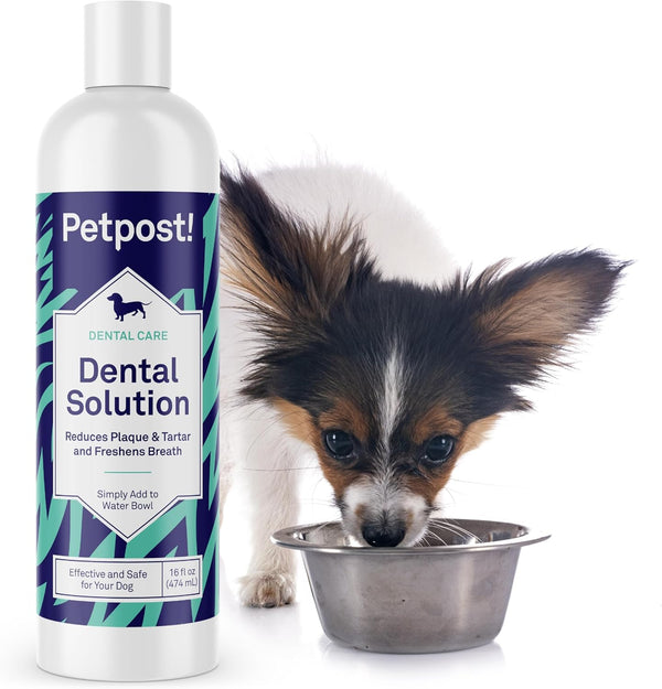 Petpost | Dental Solution for Dogs - Water Additive that Eliminates Bad