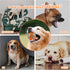 Indestructible Dog Balls - Tennis Balls for Aggressive Chewers - Safe for All Dog Sizes - Training Fetch Toys